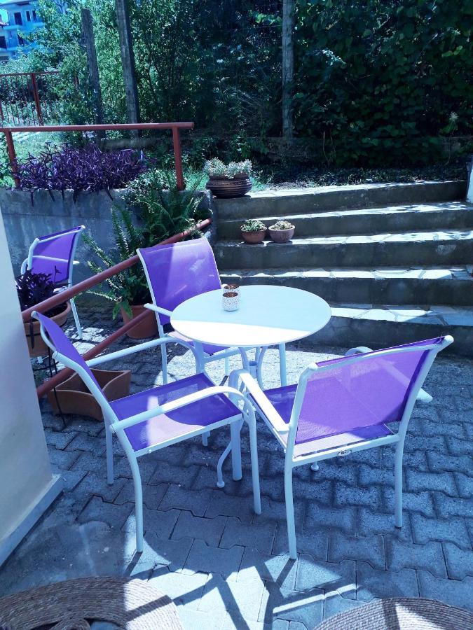 Blue Studio Olympus Mels Apartments Litochoro Exterior photo